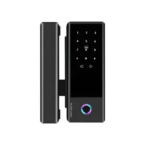 Smart Lock for Glass Door